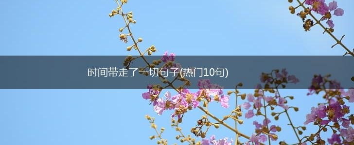 时间带走了一切句子(热门10句),第1张