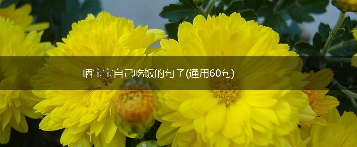 晒宝宝自己吃饭的句子(通用60句),第1张