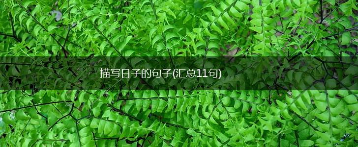 描写日子的句子(汇总11句),第1张