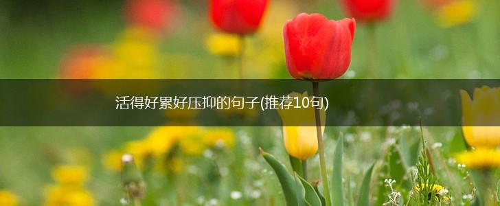 活得好累好压抑的句子(推荐10句),第1张