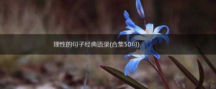 理性的句子经典语录(合集50句),第1张
