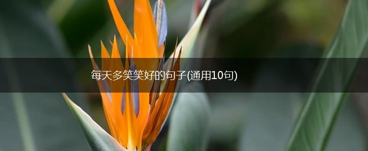 每天多笑笑好的句子(通用10句),第1张