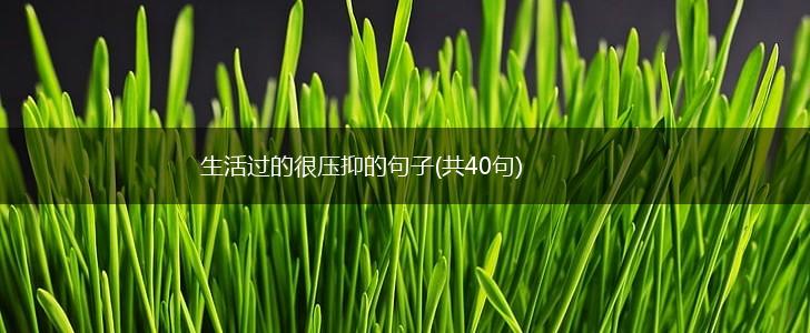 生活过的很压抑的句子(共40句),第1张