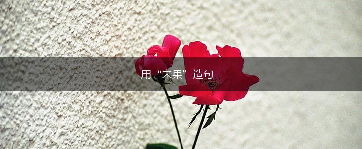 用“未果”造句,第1张