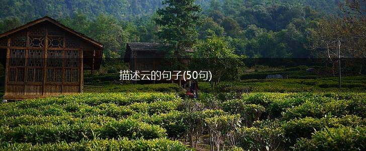 描述云的句子(50句),第1张