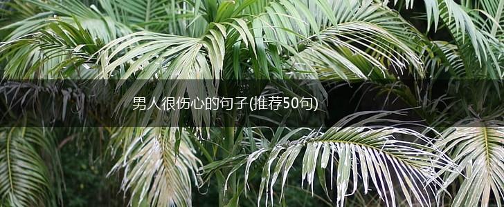 男人很伤心的句子(推荐50句),第1张
