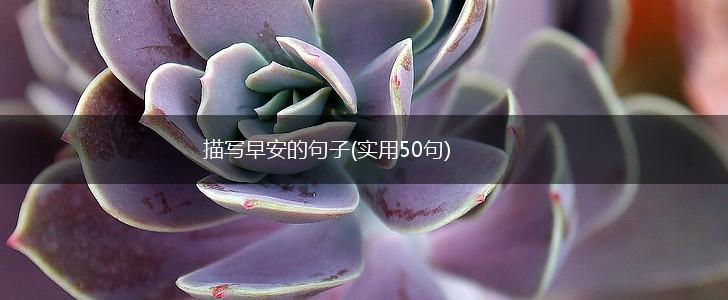 描写早安的句子(实用50句),第1张