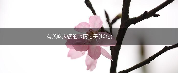 有关吃大餐的心情句子(40句),第1张