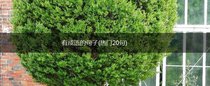 有成语的句子(热门20句),第1张