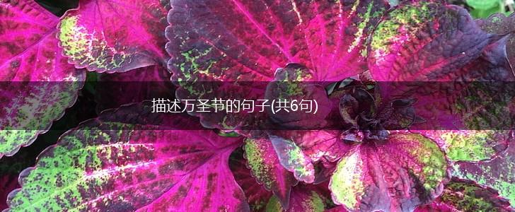 描述万圣节的句子(共6句),第1张