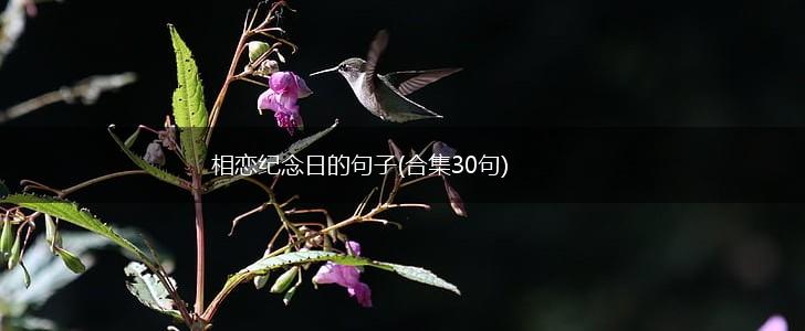 相恋纪念日的句子(合集30句),第1张