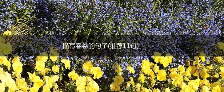 描写春卷的句子(推荐11句),第1张