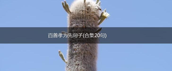 百善孝为先句子(合集20句),第1张