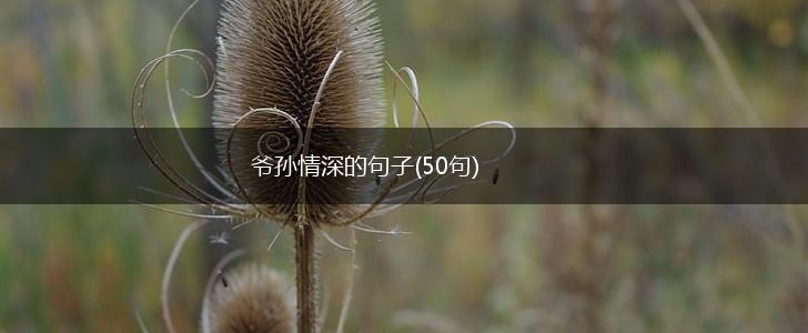 爷孙情深的句子(50句),第1张