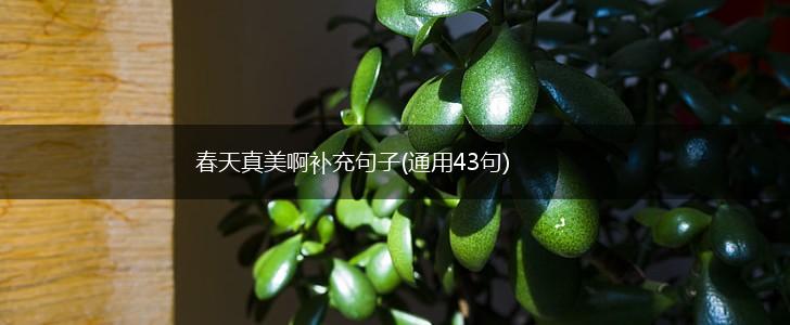 春天真美啊补充句子(通用43句),第1张