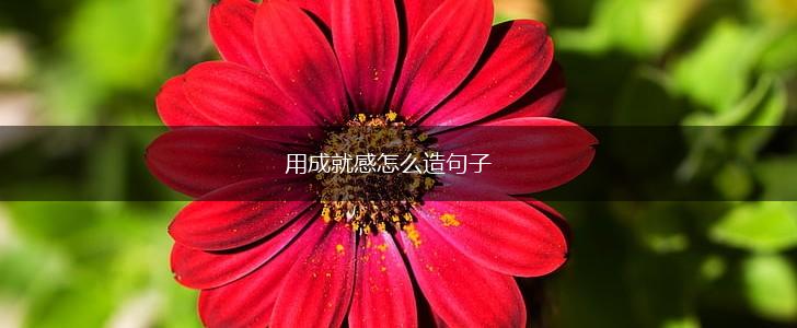 用成就感怎么造句子,第1张