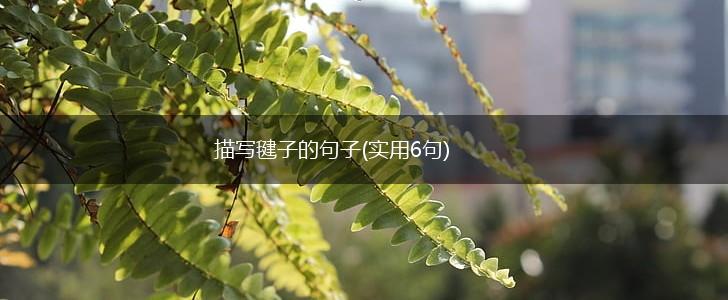 描写毽子的句子(实用6句),第1张