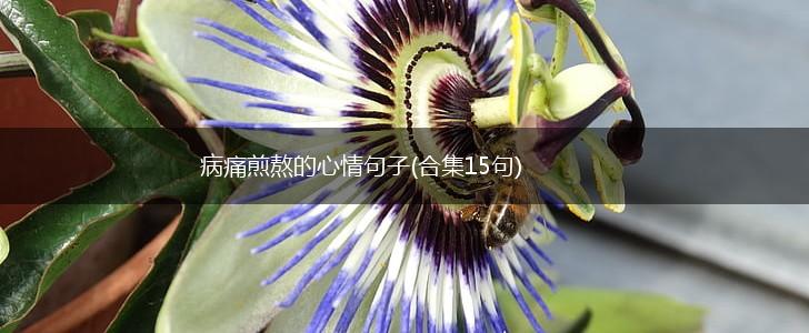 病痛煎熬的心情句子(合集15句),第1张