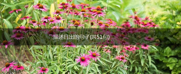 描述日出的句子(共51句),第1张