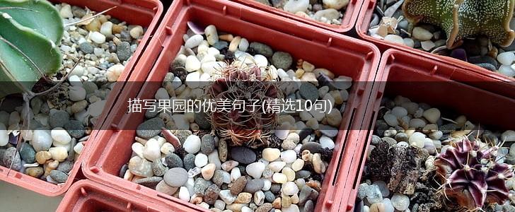 描写果园的优美句子(精选10句),第1张