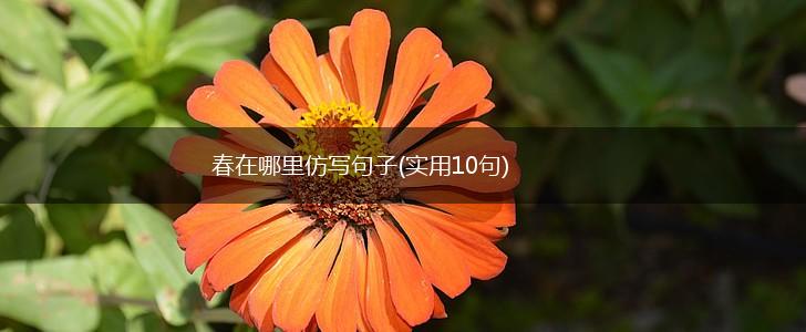 春在哪里仿写句子(实用10句),第1张