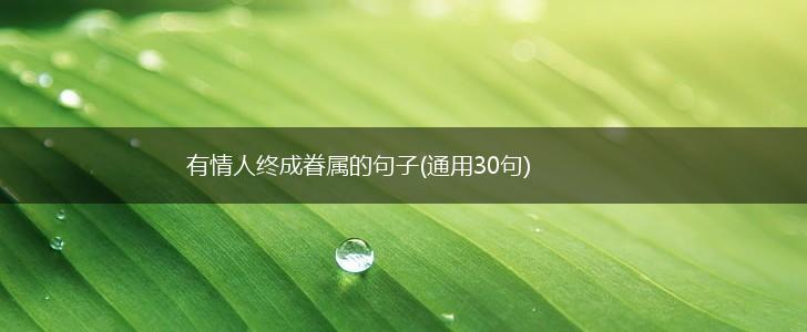 有情人终成眷属的句子(通用30句),第1张