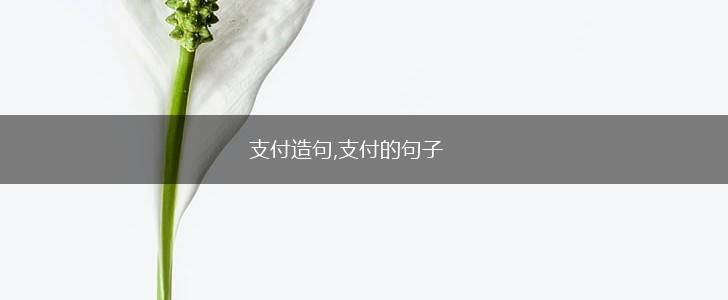 支付造句,支付的句子,第1张 支付造句,支付的句子,第1张