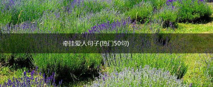 牵挂爱人句子(热门50句),第1张