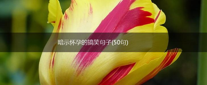 暗示怀孕的搞笑句子(50句),第1张