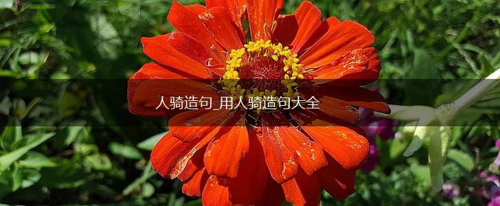 人骑造句_用人骑造句大全,第1张 人骑造句_用人骑造句大全,第1张