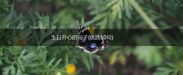 生日开心的句子(优选50句),第1张