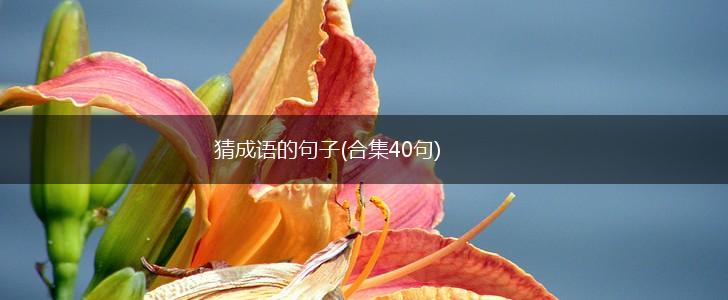 猜成语的句子(合集40句),第1张