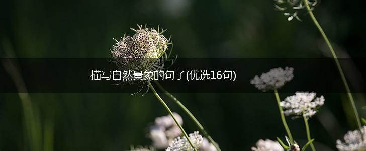 描写自然景象的句子(优选16句),第1张