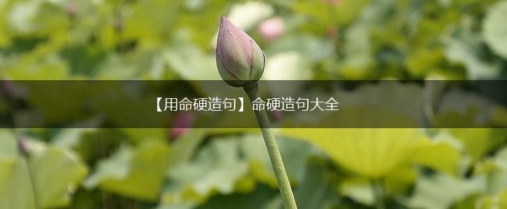 【用命硬造句】命硬造句大全,第1张