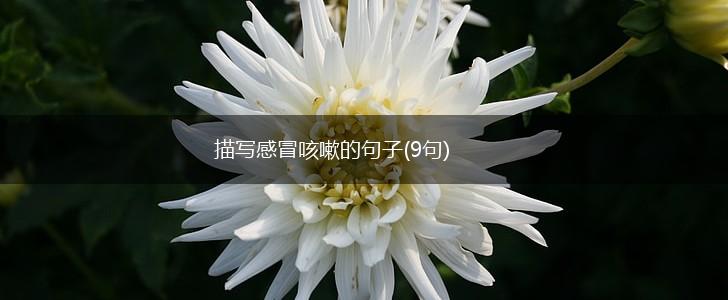 描写感冒咳嗽的句子(9句),第1张