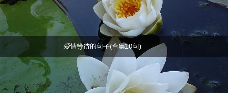 爱情等待的句子(合集10句),第1张