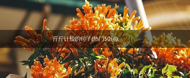 斤斤计较的句子(热门50句),第1张 斤斤计较的句子(热门50句),第1张
