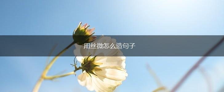 用丝微怎么造句子,第1张 用丝微怎么造句子,第1张