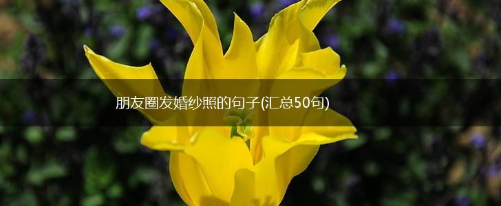 朋友圈发婚纱照的句子(汇总50句),第1张