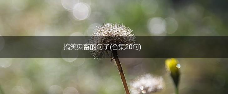搞笑鬼畜的句子(合集20句),第1张