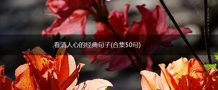 看清人心的经典句子(合集50句),第1张