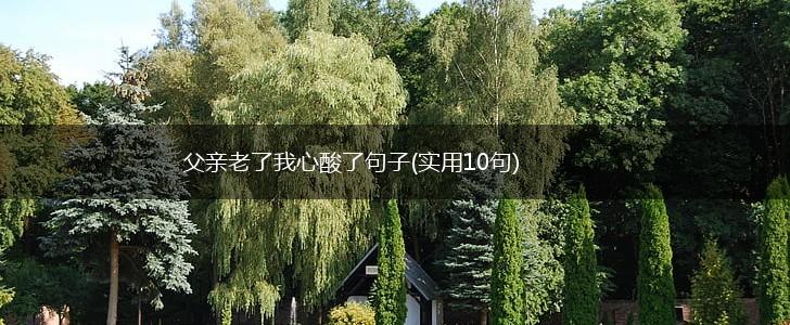 父亲老了我心酸了句子(实用10句),第1张