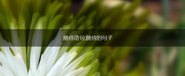 随侍造句,随侍的句子,第1张 随侍造句,随侍的句子,第1张