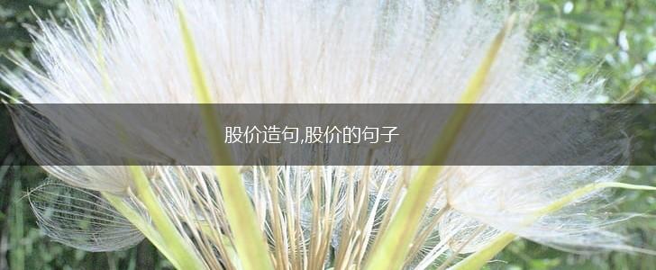 股价造句,股价的句子,第1张