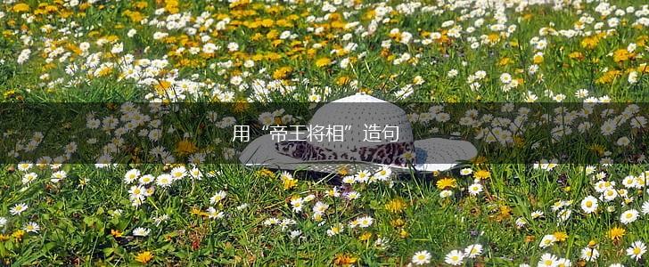 用“帝王将相”造句,第1张