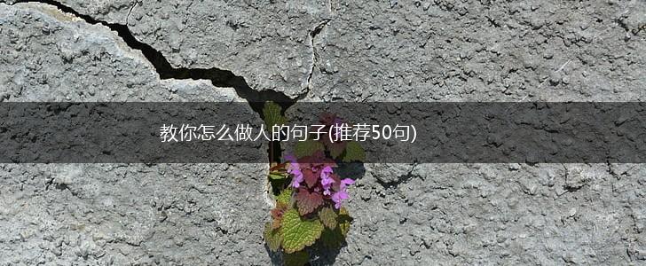 教你怎么做人的句子(推荐50句),第1张