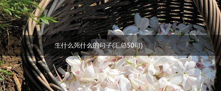 生什么死什么的句子(汇总50句),第1张