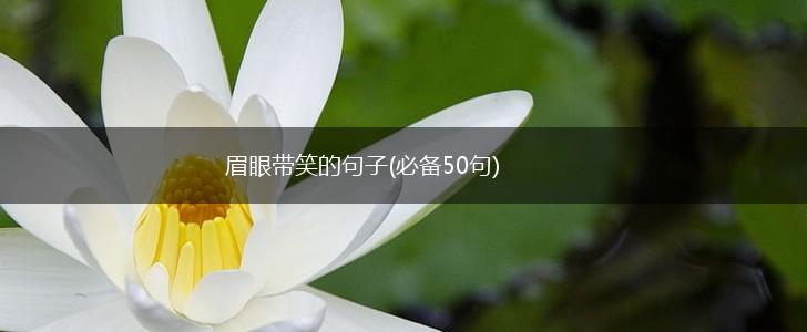 眉眼带笑的句子(必备50句),第1张
