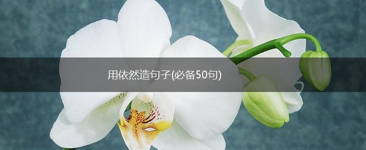 用依然造句子(必备50句),第1张
