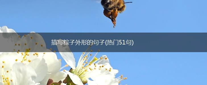 描写粽子外形的句子(热门51句),第1张